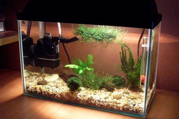 Какие бывают фильтры для аквариумов?